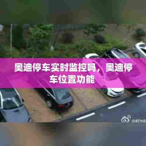 奥迪停车实时监控吗，奥迪停车位置功能 