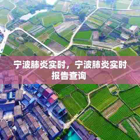 宁波肺炎实时,宁波肺炎实时报告查询