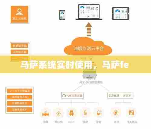 马萨系统实时使用,马萨fe