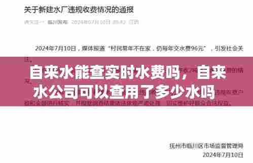 自来水能查实时水费吗，自来水公司可以查用了多少水吗 
