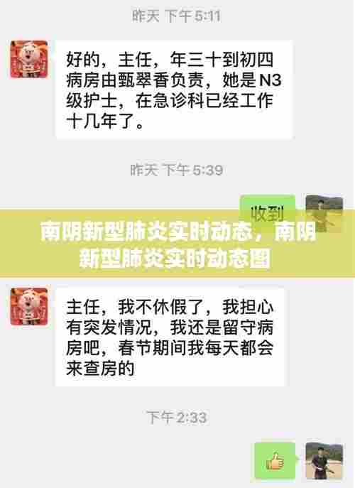 南阴新型肺炎实时动态,南阴新型肺炎实时动态图