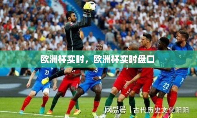 欧洲杯实时,欧洲杯实时盘口