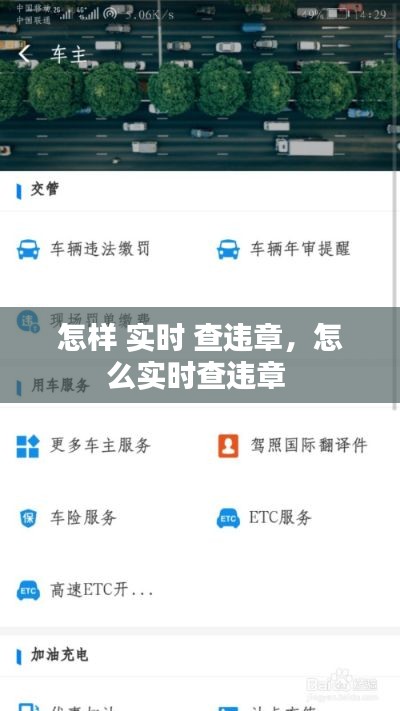 怎样 实时 查违章,怎么实时查违章