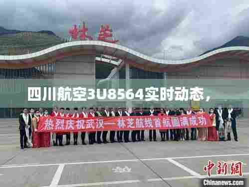 四川航空3U8564实时动态,