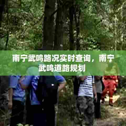 南宁武鸣路况实时查询，南宁武鸣道路规划 