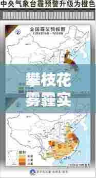 按部就班 第7页