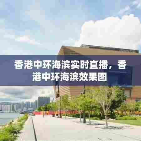 香港中环海滨实时直播,香港中环海滨效果图