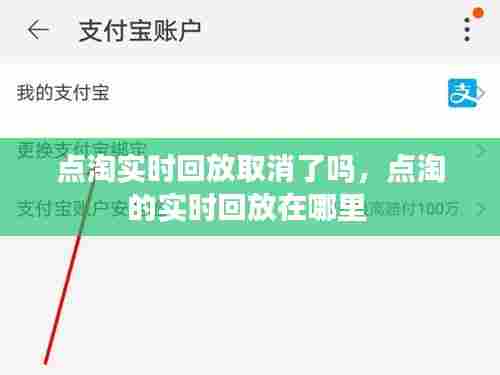 点淘实时回放取消了吗，点淘的实时回放在哪里 