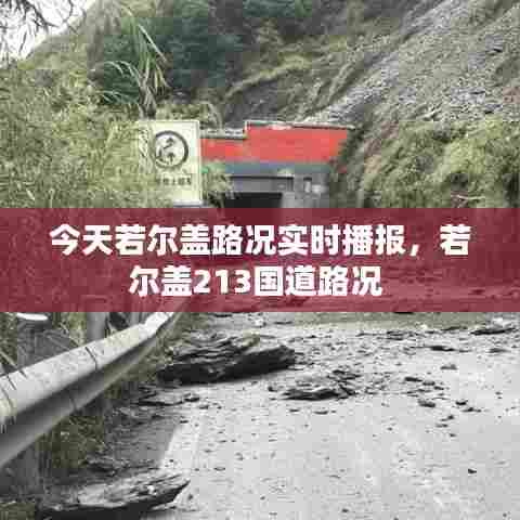 今天若尔盖路况实时播报,若尔盖213国道路况