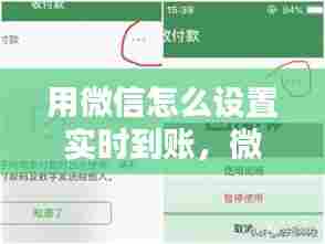 用微信怎么设置实时到账,微信怎么设置实时到账和2小时到账
