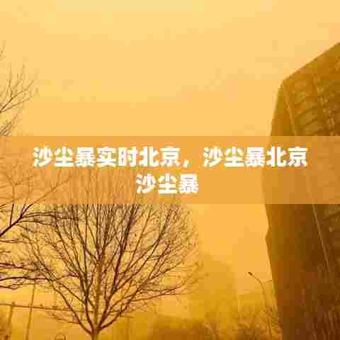 沙尘暴实时北京，沙尘暴北京沙尘暴 