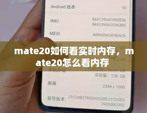 mate20如何看实时内存,mate20怎么看内存