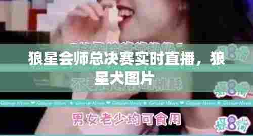 狼星会师总决赛实时直播,狼星犬图片