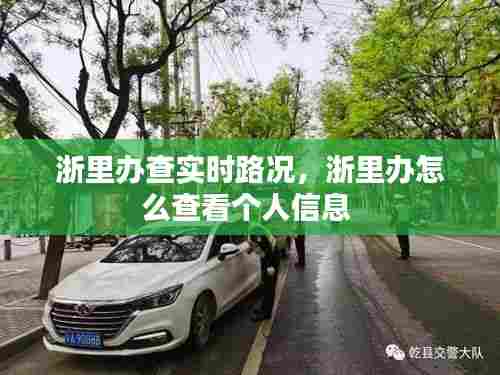 浙里办查实时路况，浙里办怎么查看个人信息 