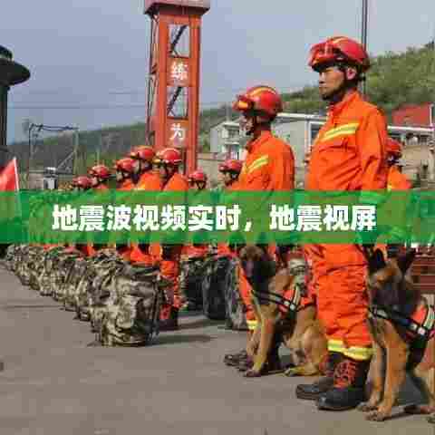 地震波视频实时,地震视屏