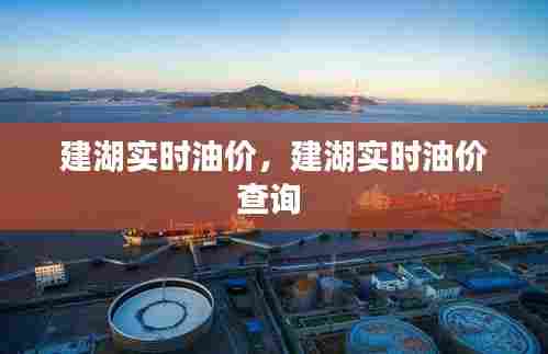 建湖实时油价,建湖实时油价查询