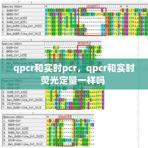 qpcr和实时pcr,qpcr和实时荧光定量一样吗