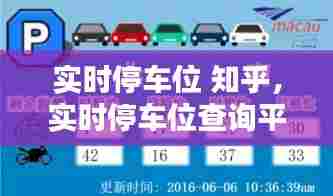 实时停车位 知乎,实时停车位查询平台