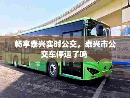 畅享泰兴实时公交，泰兴市公交车停运了吗 