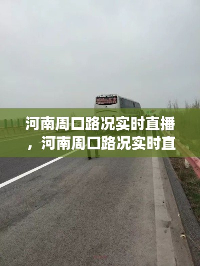 河南周口路况实时直播,河南周口路况实时直播现场