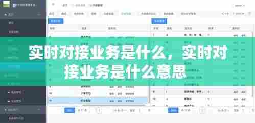 实时对接业务是什么,实时对接业务是什么意思