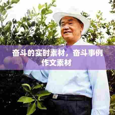 奋斗的实时素材,奋斗事例作文素材