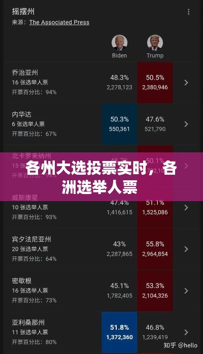 各州大选投票实时,各洲选举人票