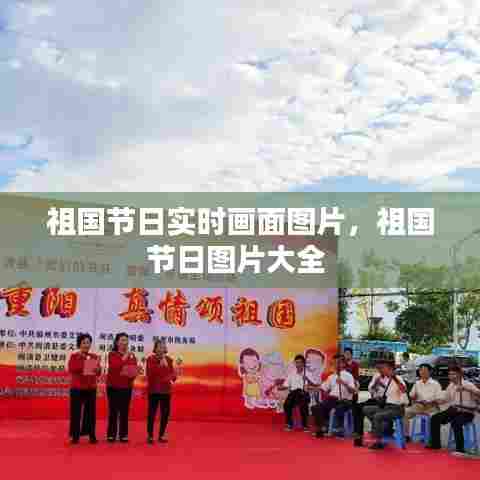 花香鸟语 第7页