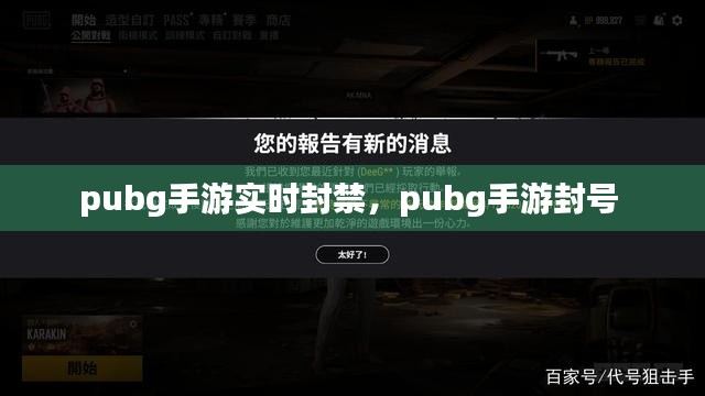 pubg手游实时封禁,pubg手游封号