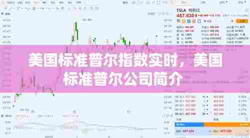 美国标准普尔指数实时,美国标准普尔公司简介