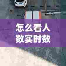 怎么看人数实时数据,怎么看人数实时数据图