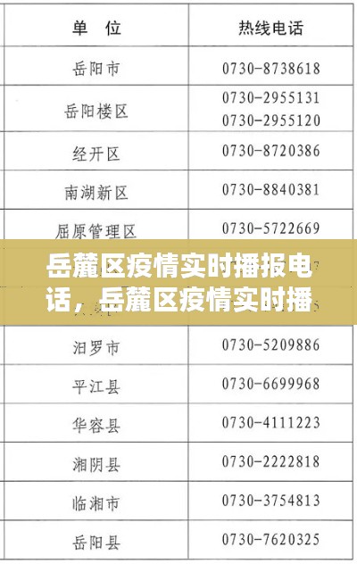 岳麓区疫情实时播报电话,岳麓区疫情实时播报电话查询