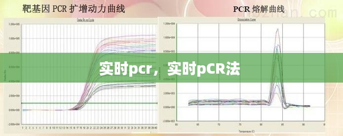 实时pcr,实时pCR法