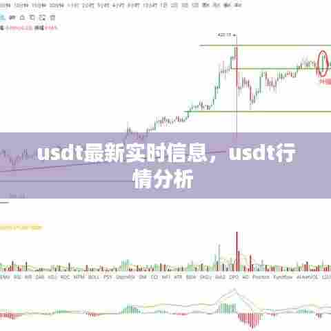 usdt最新实时信息,usdt行情分析