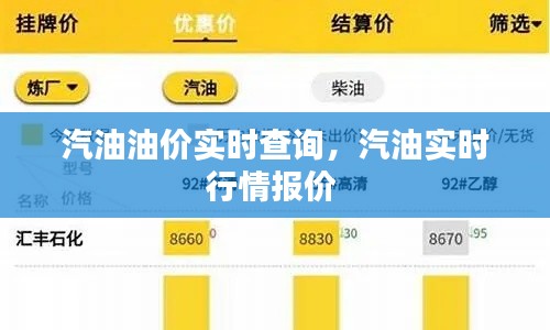 汽油油价实时查询,汽油实时行情报价