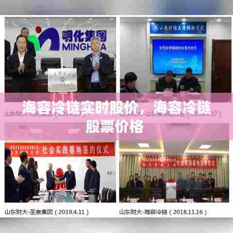 海容冷链实时股价,海容冷链股票价格