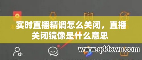 实时直播精调怎么关闭,直播关闭镜像是什么意思