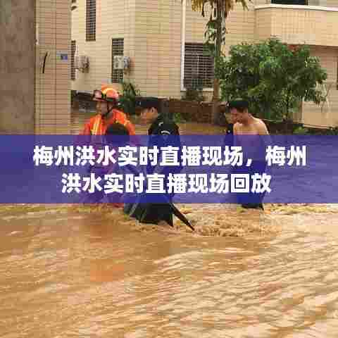 梅州洪水实时直播现场,梅州洪水实时直播现场回放