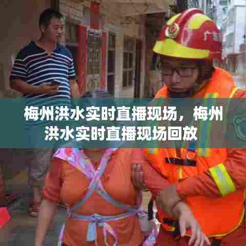 梅州洪水实时直播现场,梅州洪水实时直播现场回放