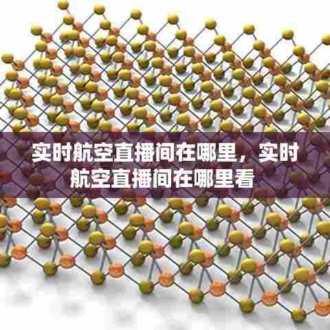 实时航空直播间在哪里，实时航空直播间在哪里看 