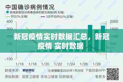 新冠疫情实时数据汇总，新冠疫情 实时数据 