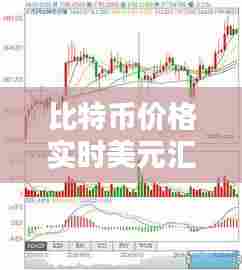 比特币价格实时美元汇率,比特币实时汇率 美元