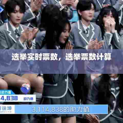 选举实时票数,选举票数计算