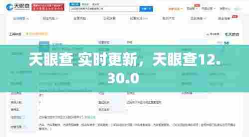 天眼查 实时更新,天眼查12.30.0