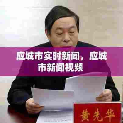 应城市实时新闻，应城市新闻视频 