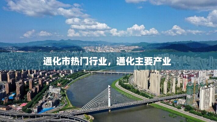 通化市热门行业,通化主要产业