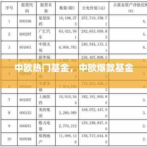 中欧热门基金，中欧爆款基金 
