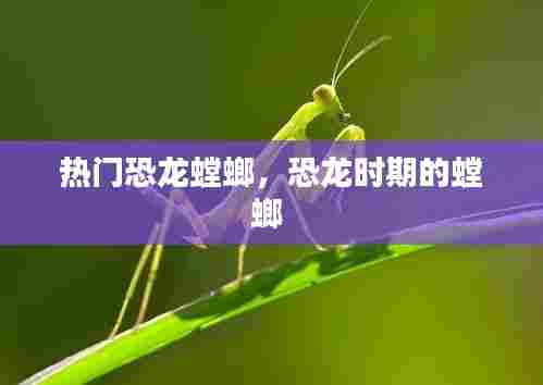 热门恐龙螳螂，恐龙时期的螳螂 