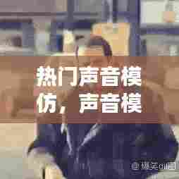 热门声音模仿，声音模仿的综艺节目叫什么 