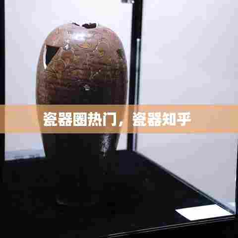 一花独放 第7页